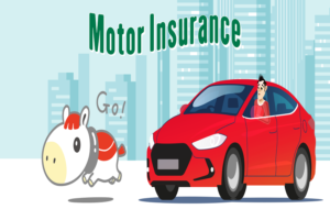 Motor Insurance Policy