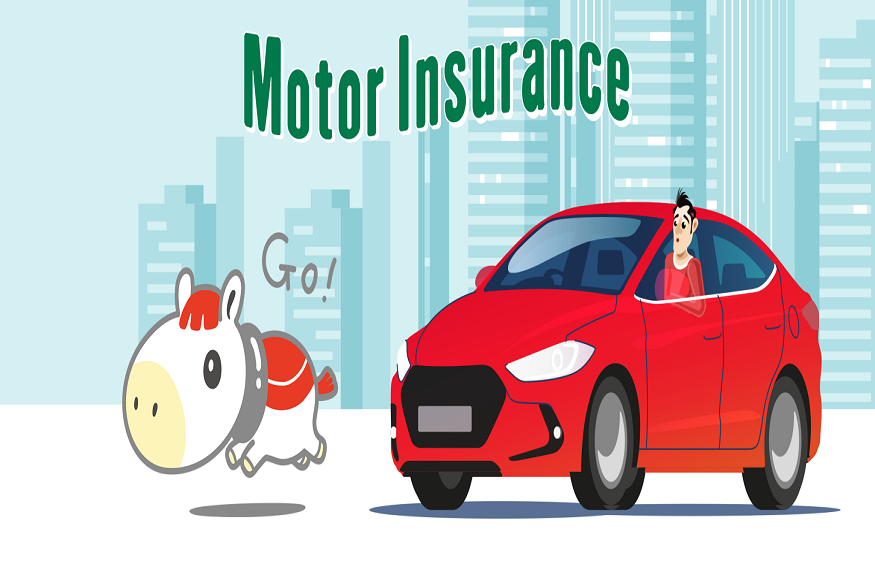 Motor Insurance Policy